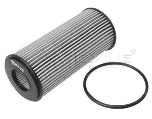 MEYLE 100 322 0022 Масляный фильтр 