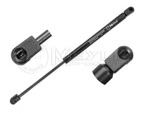 MEYLE 16-40 910 0003 Газовая пружина, крышка багажник для RENAULT CLIO II (Рено Клио 2) MEYLE 16-40 910 0003 Газовая пружина, крышка багажник для RENAULT CLIO II (Рено Клио 2)