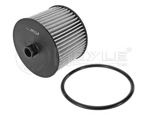 MEYLE 714 323 0004 Топливный фильтр для FORD KUGA I (Форд Куга 1) MEYLE 714 323 0004 Топливный фильтр для FORD KUGA I (Форд Куга 1)
