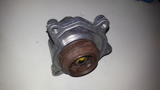 BUGIAD BSP20037 Водяной насос для VOLKSWAGEN FOX (Фольксваген Фоx) BUGIAD BSP20037 Водяной насос для VOLKSWAGEN FOX (Фольксваген Фоx)