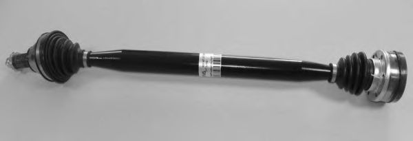 BUGIAD BSP20061 Приводной вал 