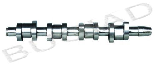 BUGIAD BSP20430 Распредвал для SEAT ALTEA (Сеат Алтэа) BUGIAD BSP20430 Распредвал для SEAT ALTEA (Сеат Алтэа)