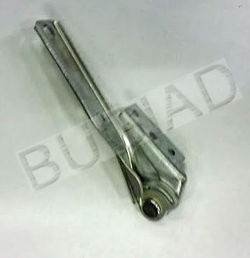 BUGIAD BSP20595 Шарнир, капот 
