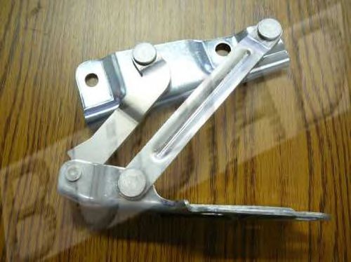 BUGIAD BSP21000 Шарнир, капот 