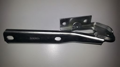 BUGIAD BSP20596 Шарнир, капот 