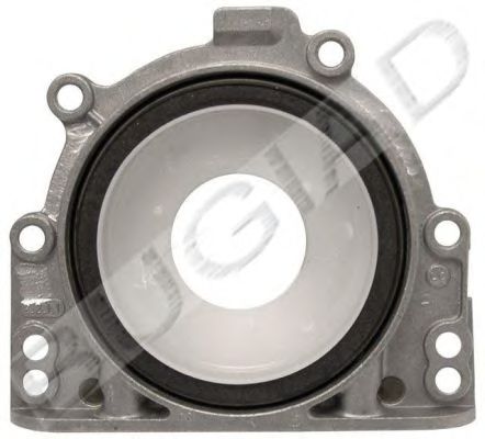BUGIAD BSP21796 Уплотняющее кольцо, коленчатый вал для SEAT ALTEA (Сеат Алтэа) BUGIAD BSP21796 Уплотняющее кольцо, коленчатый вал для SEAT ALTEA (Сеат Алтэа)