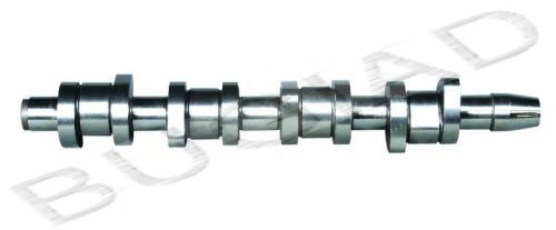 BUGIAD BSP22541 Распредвал для SEAT ALTEA (Сеат Алтэа) BUGIAD BSP22541 Распредвал для SEAT ALTEA (Сеат Алтэа)