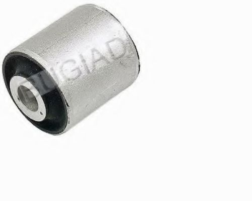 BUGIAD BSP20229 Подвеска, рычаг независимой подвески колеса 