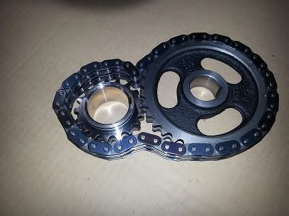 BUGIAD BSP21920 Цепь привода распредвала 