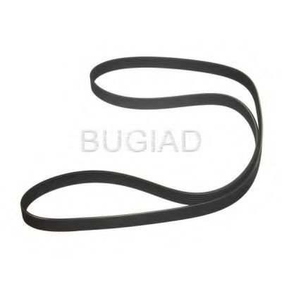 BUGIAD BSP23128 Поликлиновой ремень для VOLKSWAGEN NOVO FUSCA (Фольксваген Ноvо фусcа) BUGIAD BSP23128 Поликлиновой ремень для VOLKSWAGEN NOVO FUSCA (Фольксваген Ноvо фусcа)