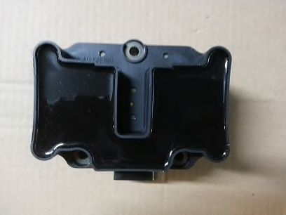 BUGIAD BSP22365 Катушка зажигания для SEAT ALTEA (Сеат Алтэа) BUGIAD BSP22365 Катушка зажигания для SEAT ALTEA (Сеат Алтэа)