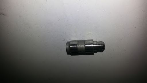 BUGIAD BSP23008 Толкатель для VOLKSWAGEN GOLF VI (Фольксваген Гольф 6) BUGIAD BSP23008 Толкатель для VOLKSWAGEN GOLF VI (Фольксваген Гольф 6)