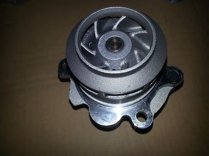BUGIAD BSP23205 Водяной насос для SEAT (Сеат) BUGIAD BSP23205 Водяной насос для SEAT (Сеат)