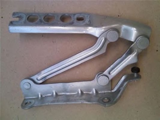 BUGIAD BSP23933 Шарнир, капот 