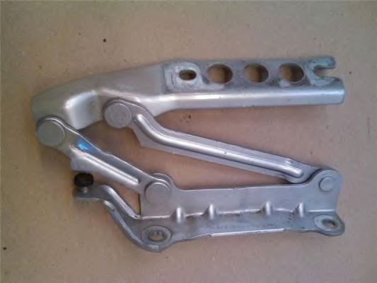 BUGIAD BSP23934 Шарнир, капот 