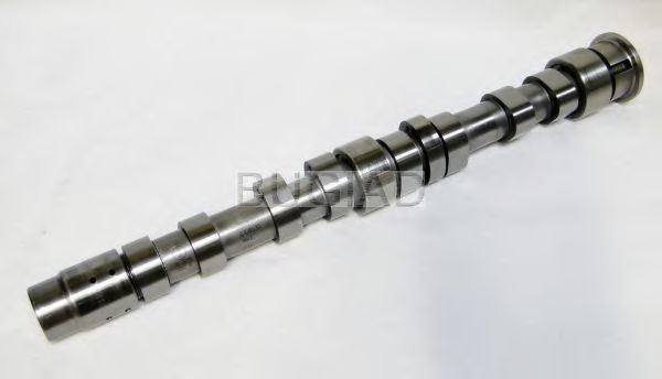 BUGIAD BSP23175 Распредвал для SKODA ROOMSTER (Шкода Румстер) BUGIAD BSP23175 Распредвал для SKODA ROOMSTER (Шкода Румстер)