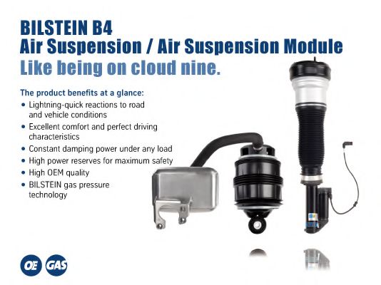 BILSTEIN Bil_024357 Амортизатор 