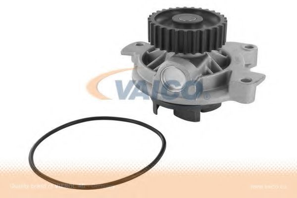 VAICO V10-50028 Водяной насос для AUDI A6 (Ауди А6) VAICO V10-50028 Водяной насос для AUDI A6 (Ауди А6)