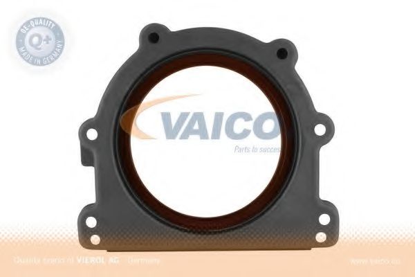 VAICO V30-6144 Уплотняющее кольцо, коленчатый вал для MERCEDES-BENZ CLC-CLASS (Мэрcэдэс-бэнз Cлс класс) VAICO V30-6144 Уплотняющее кольцо, коленчатый вал для MERCEDES-BENZ CLC-CLASS (Мэрcэдэс-бэнз Cлс класс)