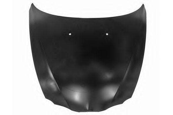 SOMORA 010108 Капот двигателя 