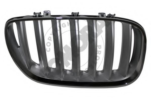 SOMORA 043107RA Решетка радиатора для BMW (Бмв) SOMORA 043107RA Решетка радиатора для BMW (Бмв)