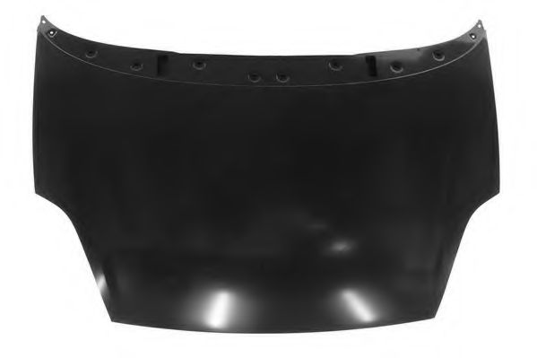 SOMORA 081508 Капот двигателя для ABARTH GRANDE PUNTO (Абартх Гранде пунто) SOMORA 081508 Капот двигателя для ABARTH GRANDE PUNTO (Абартх Гранде пунто)