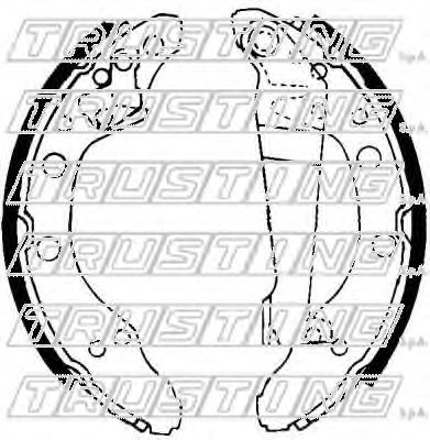 TRUSTING 7041 Тормозные колодоки 