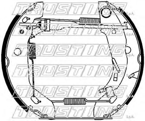TRUSTING 6450 Тормозные колодоки 