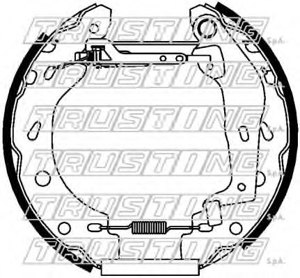 TRUSTING 6452 Тормозные колодоки 
