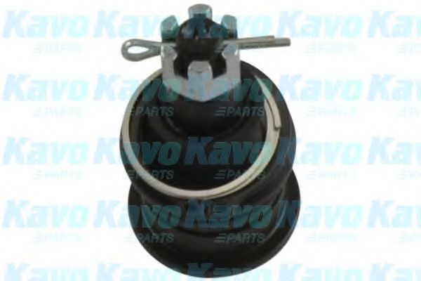 KAVO PARTS SBJ-2003 Несущий направляющий шарнир для HONDA FIT II (Хонда Фит 2) KAVO PARTS SBJ-2003 Несущий направляющий шарнир для HONDA FIT II (Хонда Фит 2)