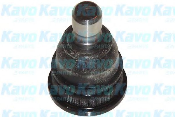 KAVO PARTS SBJ-4007 Несущий направляющий шарнир для TOYOTA QUANTUM V (Тойота/тоета Qуантум v) KAVO PARTS SBJ-4007 Несущий направляющий шарнир для TOYOTA QUANTUM V (Тойота/тоета Qуантум v)