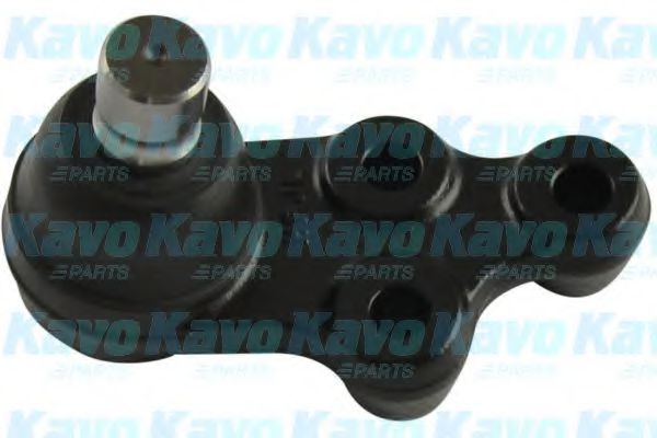 KAVO PARTS SBJ-7505 Несущий направляющий шарнир для TOYOTA QUANTUM V (Тойота/тоета Qуантум v) KAVO PARTS SBJ-7505 Несущий направляющий шарнир для TOYOTA QUANTUM V (Тойота/тоета Qуантум v)