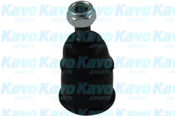 KAVO PARTS SBJ-2001 Несущий направляющий шарнир для HONDA BALLADE VI (Хонда Балладэ vи) KAVO PARTS SBJ-2001 Несущий направляющий шарнир для HONDA BALLADE VI (Хонда Балладэ vи)