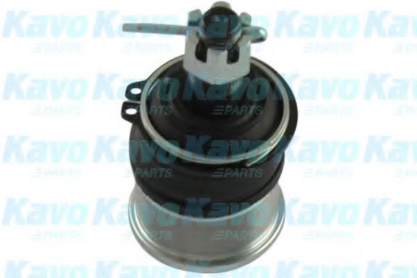 KAVO PARTS SBJ-2004 Несущий направляющий шарнир для HONDA CRX II (Хонда Cрх 2) KAVO PARTS SBJ-2004 Несущий направляющий шарнир для HONDA CRX II (Хонда Cрх 2)