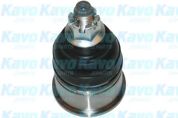 KAVO PARTS SBJ-2009 Несущий направляющий шарнир для HONDA SHUTTLE (Хонда Шуттлэ) KAVO PARTS SBJ-2009 Несущий направляющий шарнир для HONDA SHUTTLE (Хонда Шуттлэ)