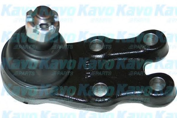 KAVO PARTS SBJ-3021 Несущий направляющий шарнир для CHEVROLET CAPTIVA (Шевроле Каптива) KAVO PARTS SBJ-3021 Несущий направляющий шарнир для CHEVROLET CAPTIVA (Шевроле Каптива)
