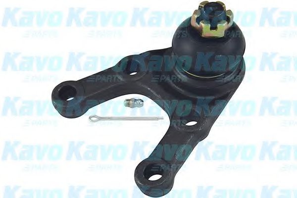 KAVO PARTS SBJ-5505 Несущий направляющий шарнир для MITSUBISHI PAJERO/SHOGUN II (Митсубиши/митсубиси Пажэро/шогун 2) KAVO PARTS SBJ-5505 Несущий направляющий шарнир для MITSUBISHI PAJERO/SHOGUN II (Митсубиши/митсубиси Пажэро/шогун 2)