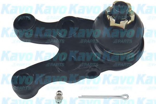 KAVO PARTS SBJ-5506 Несущий направляющий шарнир для MITSUBISHI MONTERO II (Митсубиши/митсубиси Монтэро 2) KAVO PARTS SBJ-5506 Несущий направляющий шарнир для MITSUBISHI MONTERO II (Митсубиши/митсубиси Монтэро 2)