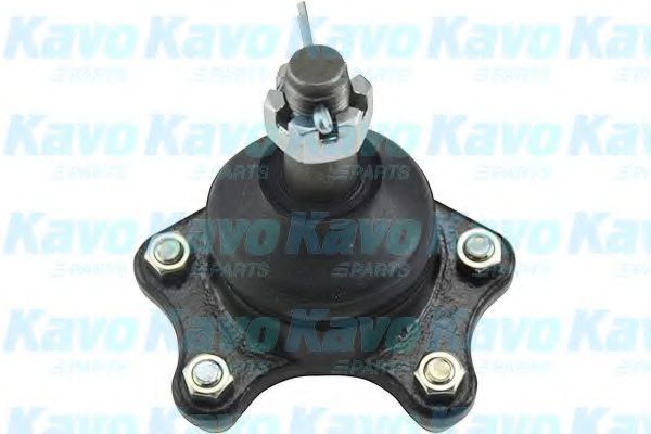 KAVO PARTS SBJ-9016 Несущий направляющий шарнир для TOYOTA 4 RUNNER (Тойота/тоета 4 руннэр) KAVO PARTS SBJ-9016 Несущий направляющий шарнир для TOYOTA 4 RUNNER (Тойота/тоета 4 руннэр)