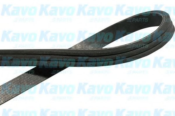 KAVO PARTS DMV-2002 Поликлиновой ремень для HONDA CRX II (Хонда Cрх 2) KAVO PARTS DMV-2002 Поликлиновой ремень для HONDA CRX II (Хонда Cрх 2)
