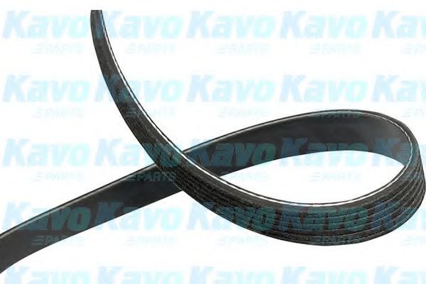 KAVO PARTS DMV-3033 Поликлиновой ремень для TOYOTA VERSO (Тойота/тоета Vэрсо) KAVO PARTS DMV-3033 Поликлиновой ремень для TOYOTA VERSO (Тойота/тоета Vэрсо)