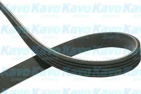 KAVO PARTS DMV-5512 Поликлиновой ремень для MITSUBISHI MONTERO (Митсубиши/митсубиси Монтэро) KAVO PARTS DMV-5512 Поликлиновой ремень для MITSUBISHI MONTERO (Митсубиши/митсубиси Монтэро)