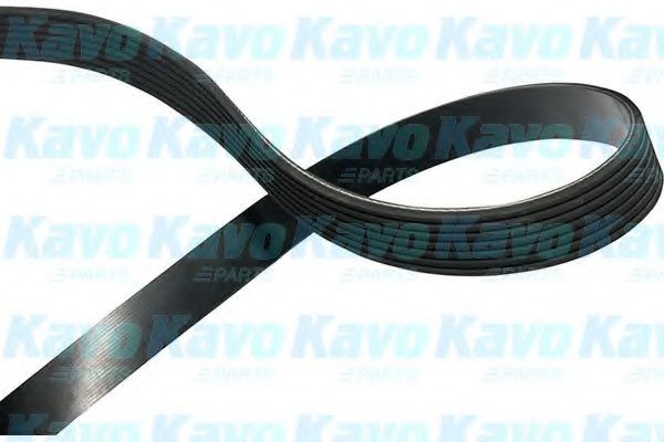 KAVO PARTS DMV-6537 Поликлиновой ремень для NISSAN BIG M (Ниссан Биг м) KAVO PARTS DMV-6537 Поликлиновой ремень для NISSAN BIG M (Ниссан Биг м)
