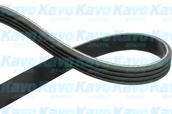 KAVO PARTS DMV-9016 Поликлиновой ремень для TOYOTA YARIS/VITZ (Тойота/тоета Ярис/vитз) KAVO PARTS DMV-9016 Поликлиновой ремень для TOYOTA YARIS/VITZ (Тойота/тоета Ярис/vитз)