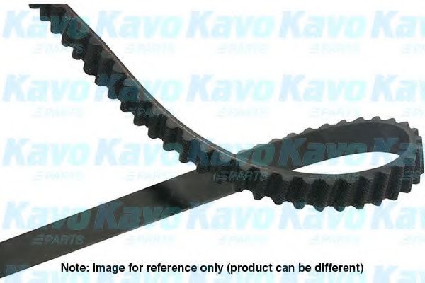KAVO PARTS DTB-5534 Ремень ГРМ для HYUNDAI H100 (Хендай Х100) KAVO PARTS DTB-5534 Ремень ГРМ для HYUNDAI H100 (Хендай Х100)