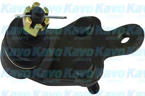 KAVO PARTS SBJ-9046 Несущий направляющий шарнир для LEXUS HS (Лексус Хс) KAVO PARTS SBJ-9046 Несущий направляющий шарнир для LEXUS HS (Лексус Хс)