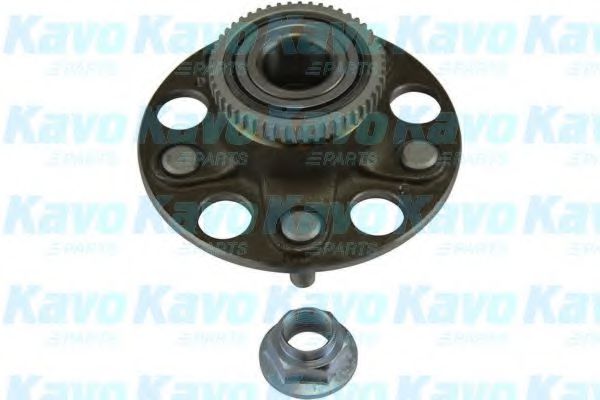 KAVO PARTS WBK-2019 Комплект подшипника ступицы колеса 