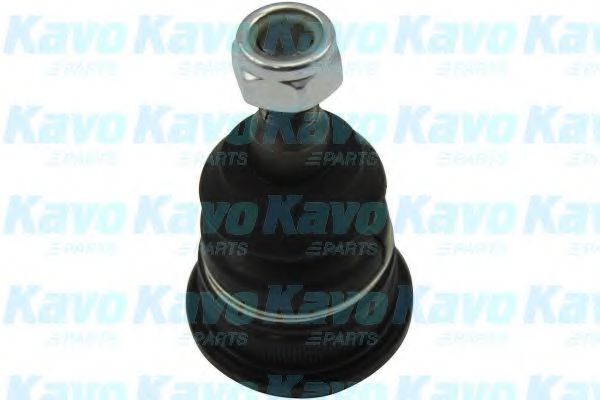 KAVO PARTS SBJ-3035 Несущий направляющий шарнир для HYUNDAI SOLARIS / ACCENT IV (Хендай Соларис / акцент 4) KAVO PARTS SBJ-3035 Несущий направляющий шарнир для HYUNDAI SOLARIS / ACCENT IV (Хендай Соларис / акцент 4)
