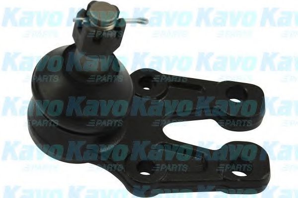 KAVO PARTS SBJ-9070 Несущий направляющий шарнир для TOYOTA QUANTUM V (Тойота/тоета Qуантум v) KAVO PARTS SBJ-9070 Несущий направляющий шарнир для TOYOTA QUANTUM V (Тойота/тоета Qуантум v)