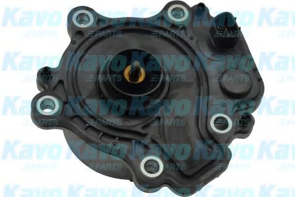 KAVO PARTS TW-6001E Водяной насос для LEXUS CT (Лексус Cт) KAVO PARTS TW-6001E Водяной насос для LEXUS CT (Лексус Cт)